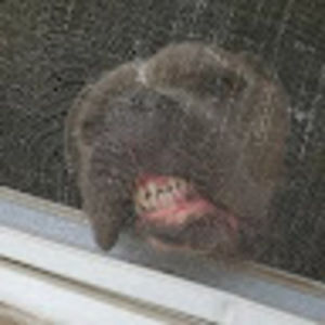 Meet your Posher, Matthew